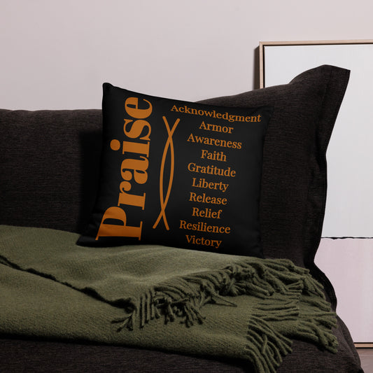 Praise inspirational square throw pillow - Earth/Black