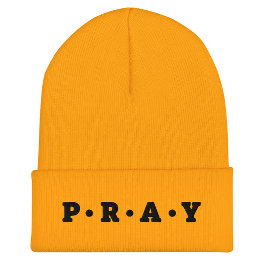 Pray Cuffed Beanie - Unisex Embroidered Christian Acrylic Hat