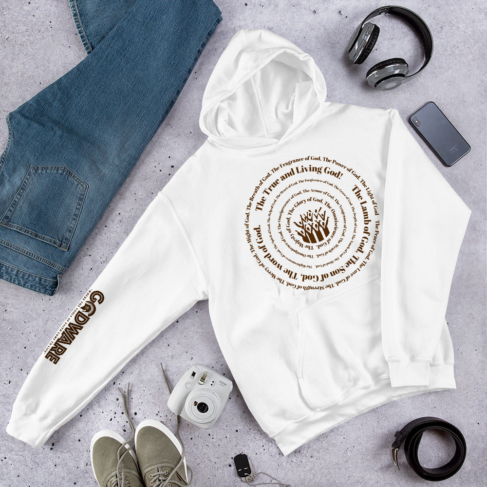Attributes of God Unisex Hoodie - Brown Print