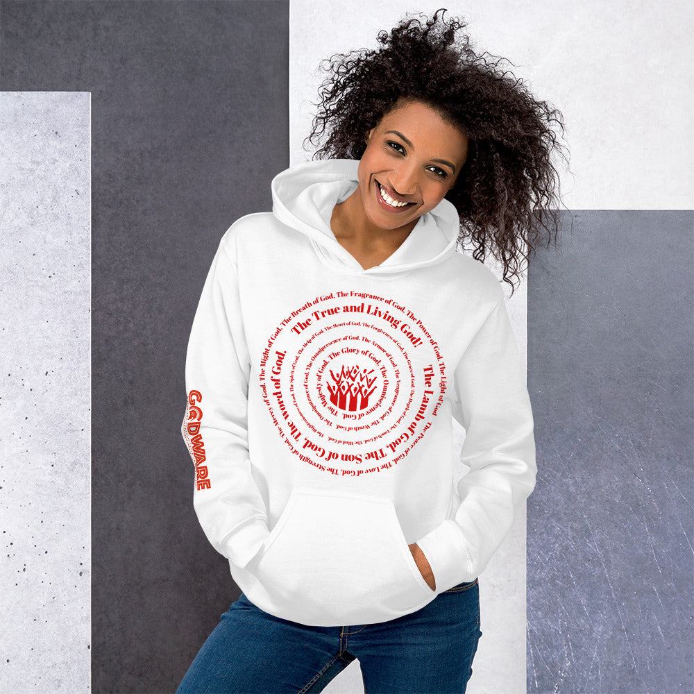 Attributes of God Unisex Hoodie - Red Print