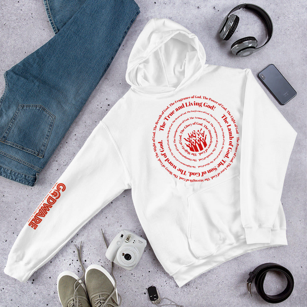Attributes of God Unisex Hoodie - Red Print