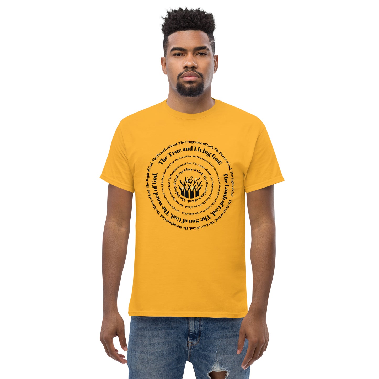Attributes of God Men's cotton tee - Black print