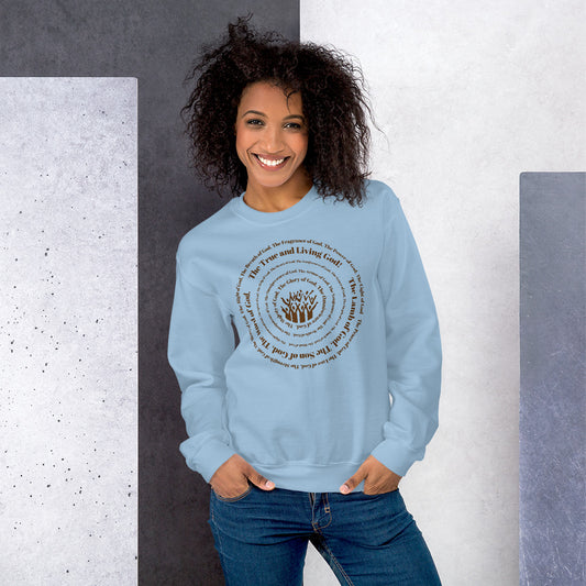 Attributes of God Crew Neck Sweatshirt - Brown Spiral