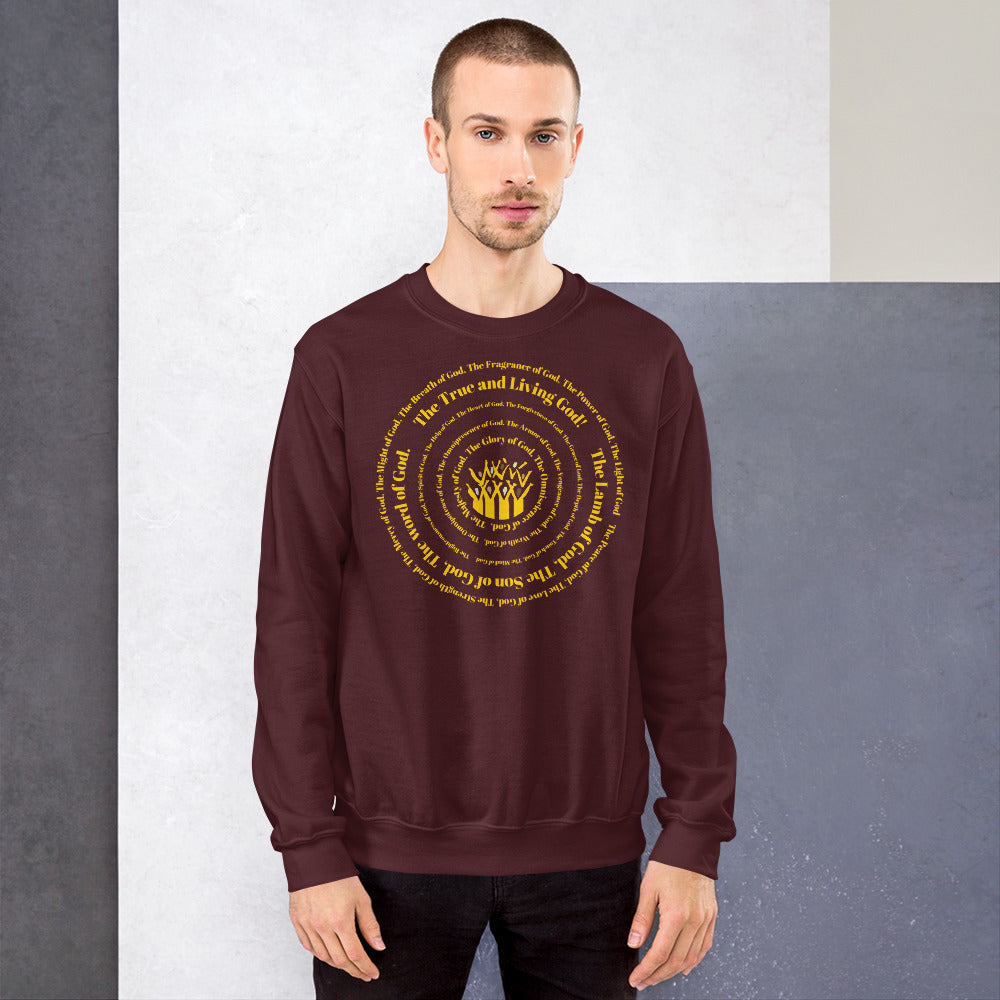 Attributes of God Crew Neck Sweatshirt - Gold Spiral