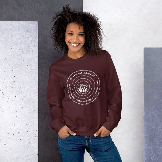 Attributes of God Crew Neck Sweatshirt - White Spiral