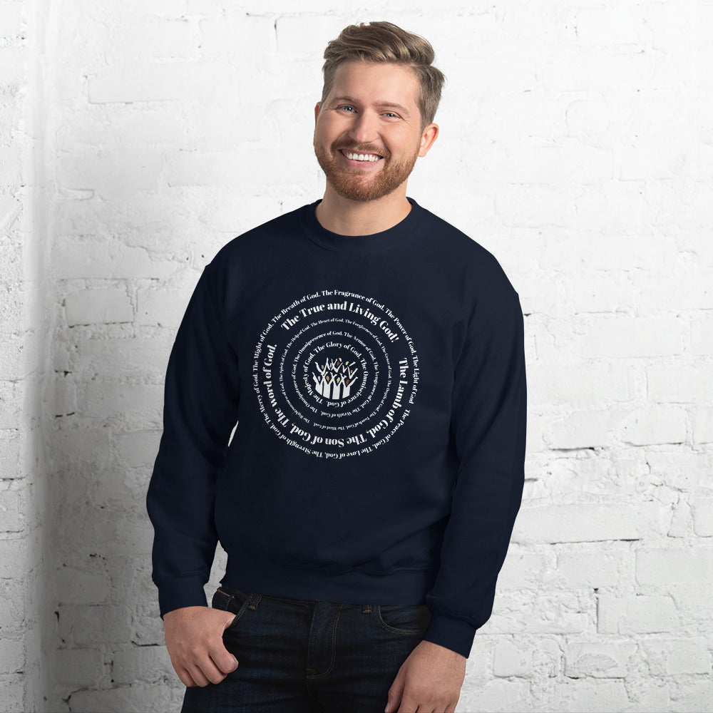 Attributes of God Crew Neck Sweatshirt - White Spiral