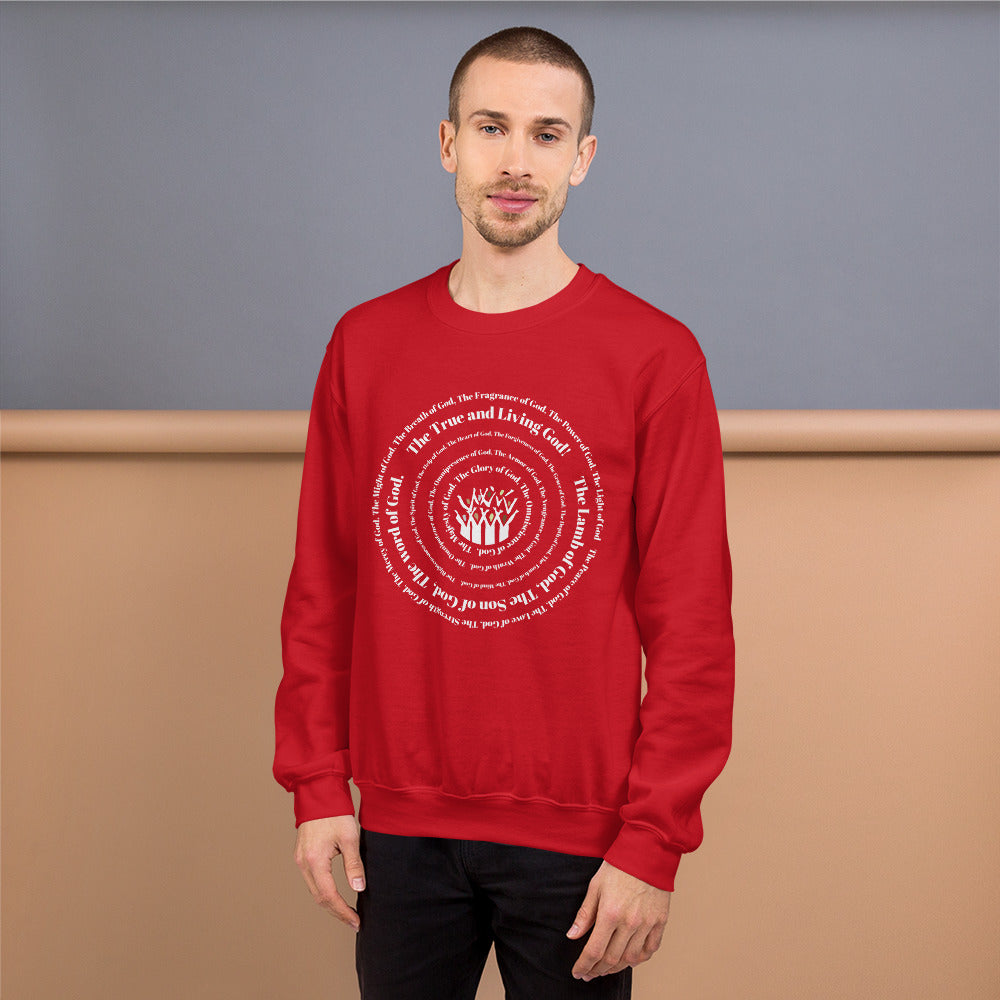 Attributes of God Crew Neck Sweatshirt - White Spiral