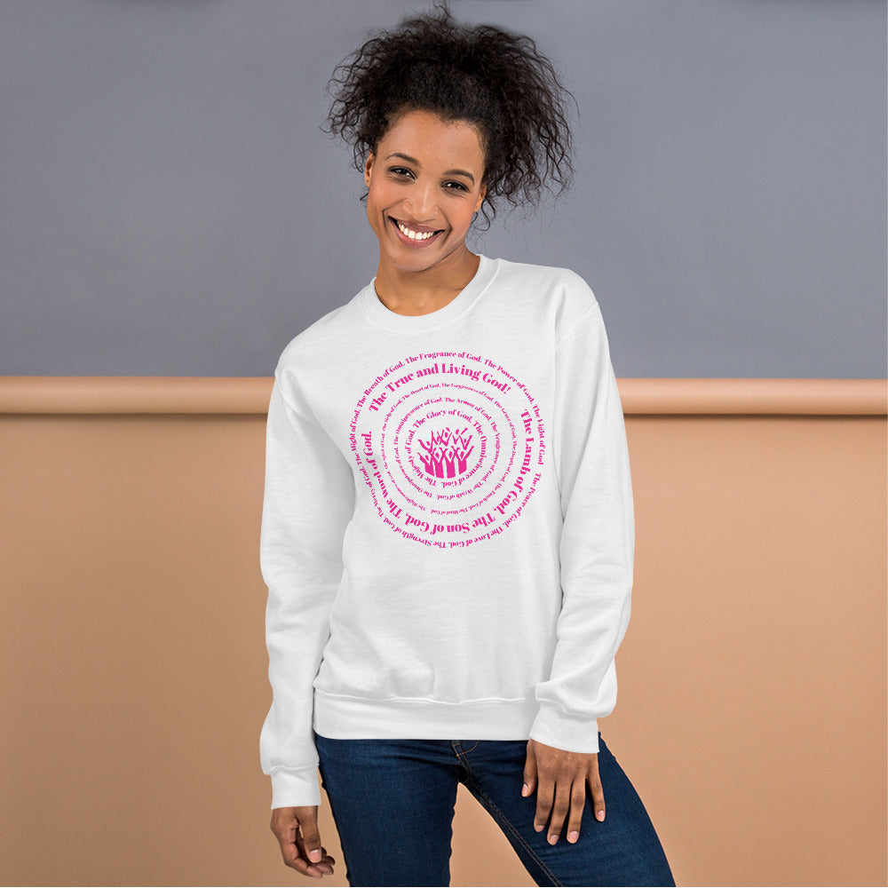 Attributes of God Crew Neck Sweatshirt - Pink Spiral