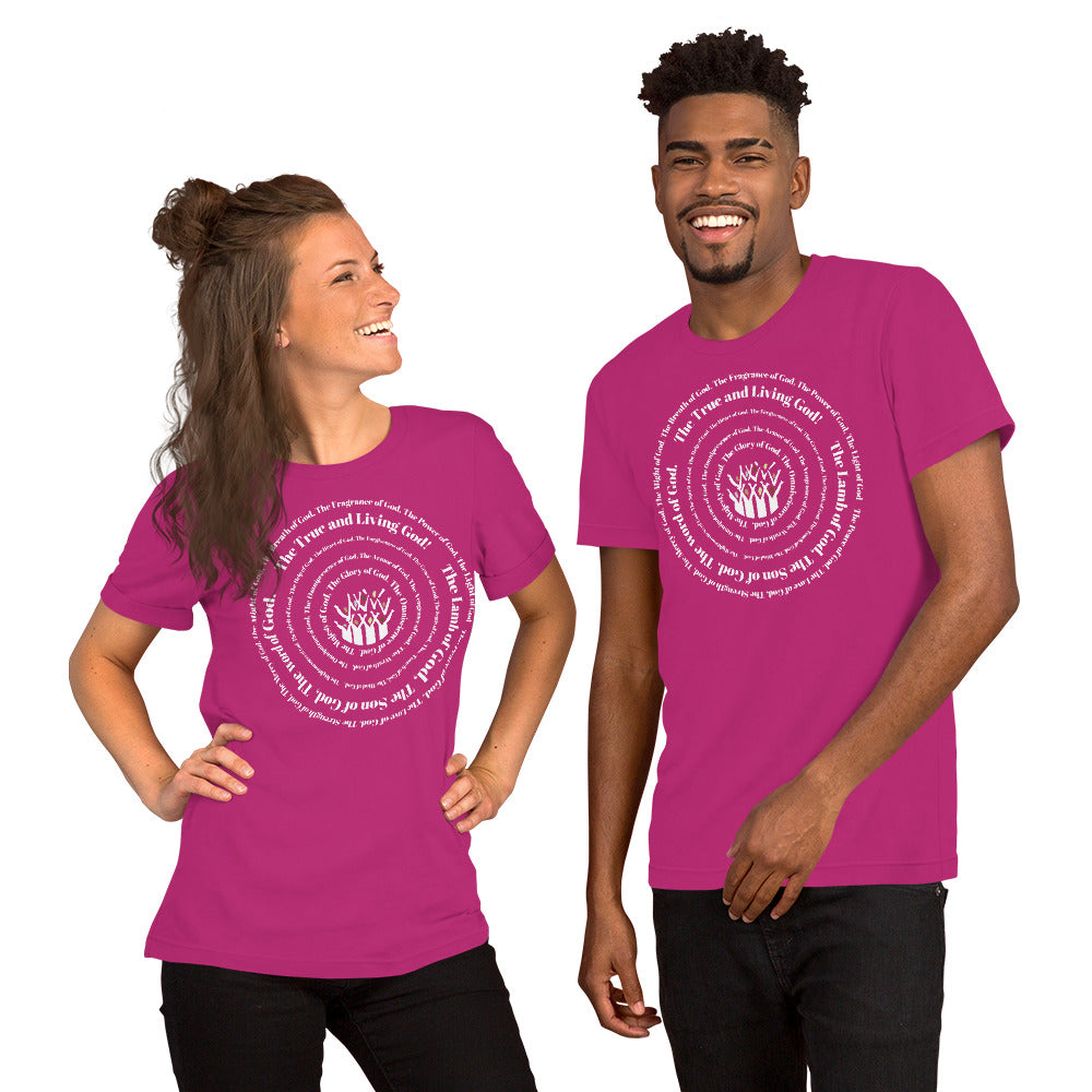 Attributes of God t-shirt (larger sizes) - White print