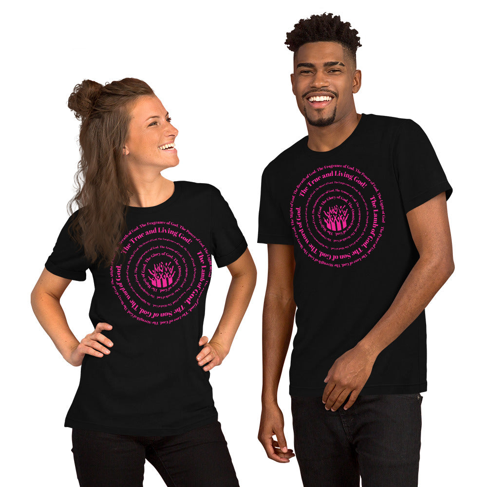 Attributes of God t-shirt (larger sizes) - Pink print