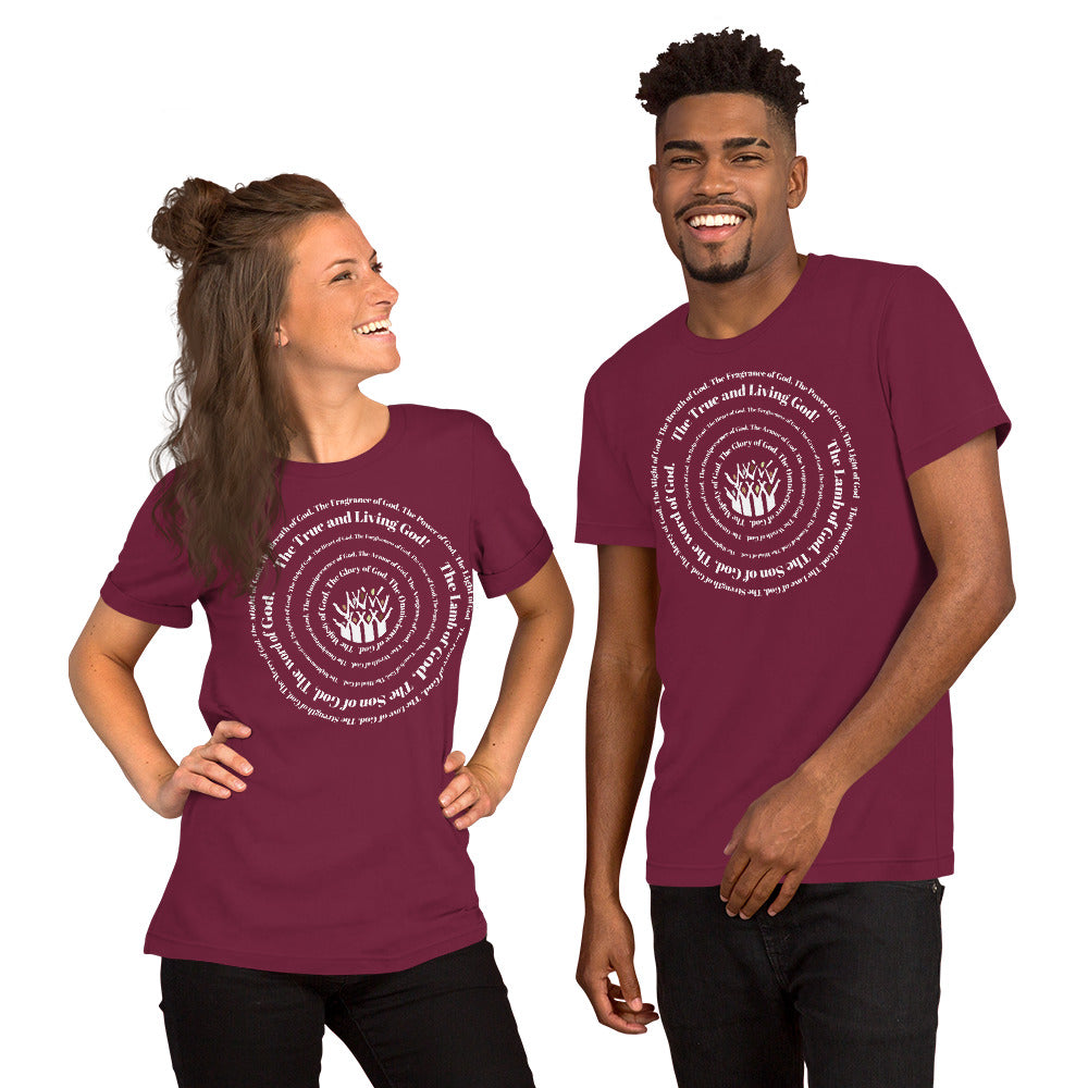 Attributes of God t-shirt (larger sizes) - White print
