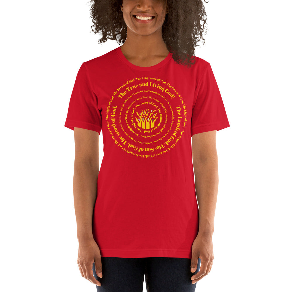 Attributes of God t-shirt (unisex) - yellow print