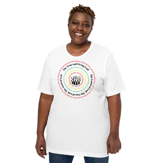 Attributes of God t-shirt (larger sizes) - Multi