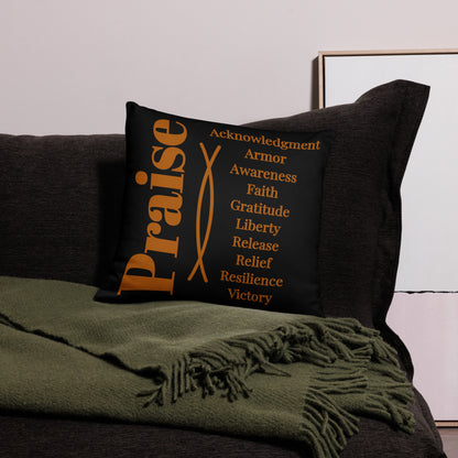 Praise collection inspirational throw pillow - Earth/Black