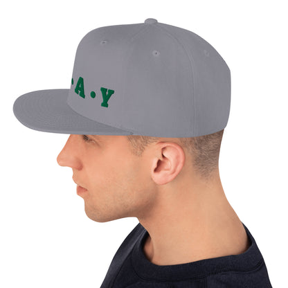 Pray - Classic Snapback Hat (Green)