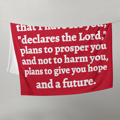 Jeremiah 29 Plush Throw Blanket - Faith-Inspired Home Decor | GodWare