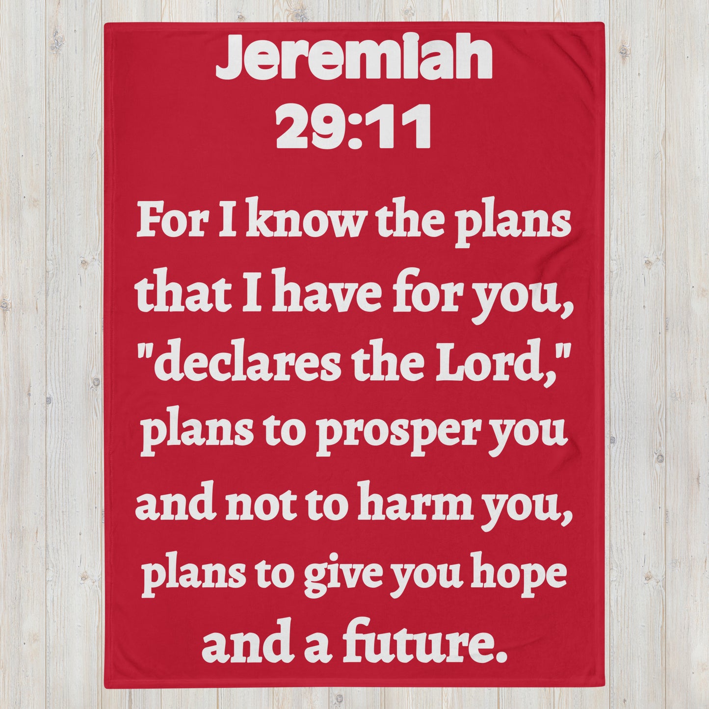 Jeremiah 29 Plush Throw Blanket - Faith-Inspired Home Decor | GodWare