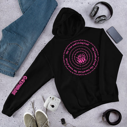 Attributes of God Unisex Hoodie - Pink Spiral