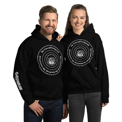 Attributes of God Unisex Hoodie - White Spiral