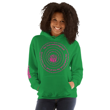 Attributes of God Unisex Hoodie - Pink Spiral