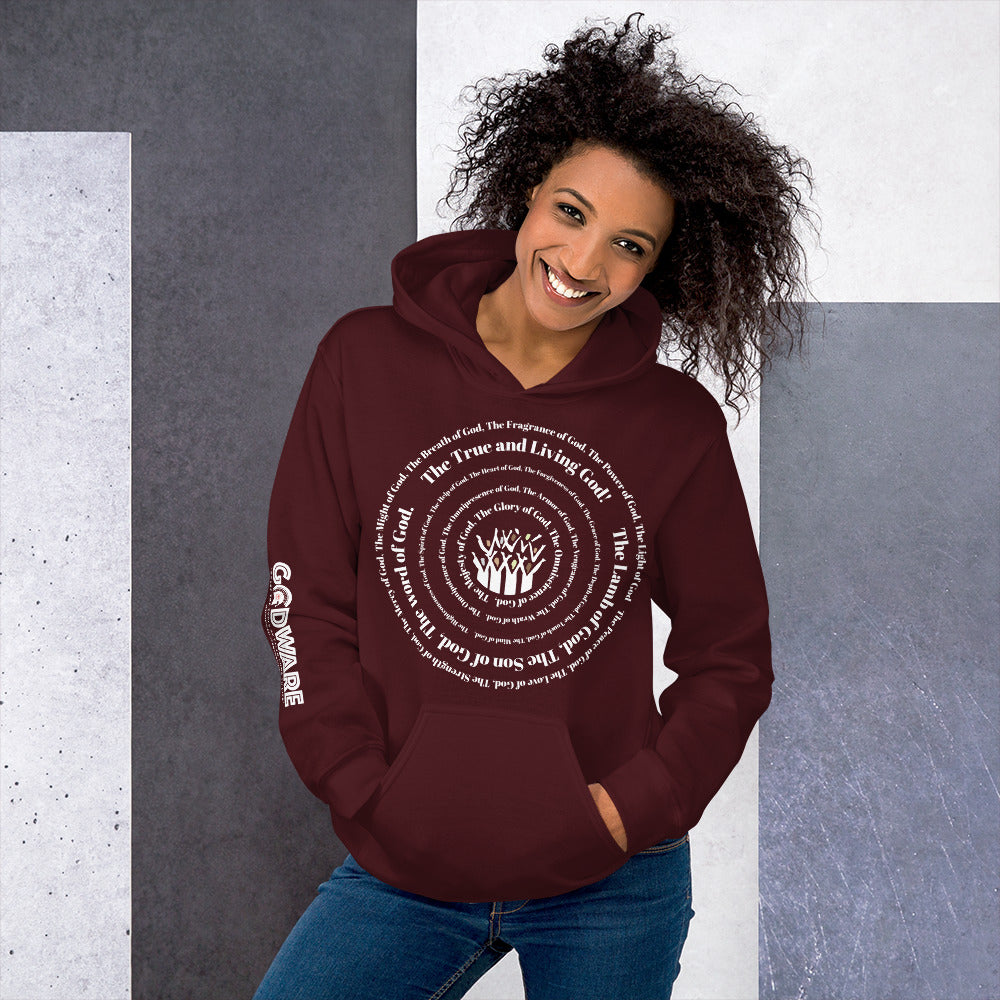 Attributes of God Unisex Hoodie - White Spiral