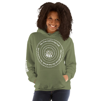 Attributes of God Unisex Hoodie - White Spiral