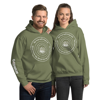 Attributes of God Unisex Hoodie - White Spiral