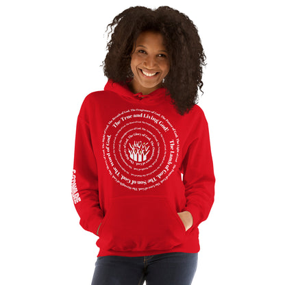 Attributes of God Unisex Hoodie - White Spiral