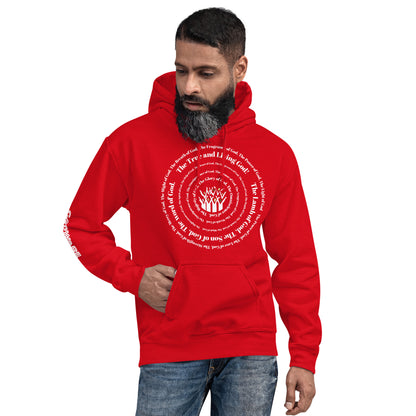 Attributes of God Unisex Hoodie - White Spiral