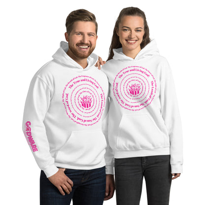 Attributes of God Unisex Hoodie - Pink Spiral