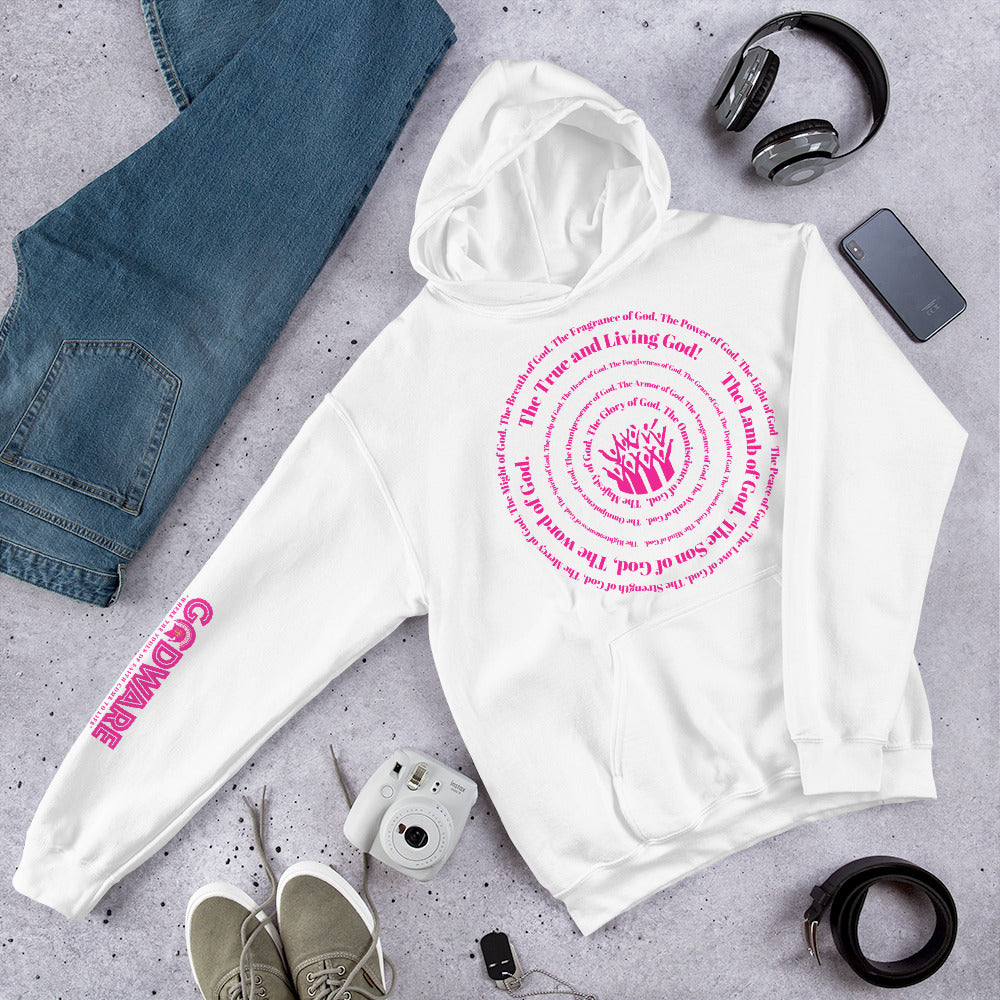 Attributes of God Unisex Hoodie - Pink Spiral