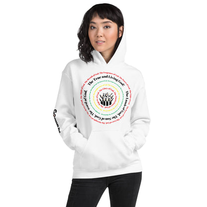 Attributes of God Unisex Hoodie - Multi color spiral
