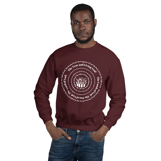 Attributes of God Unisex Sweatshirt - White Spiral