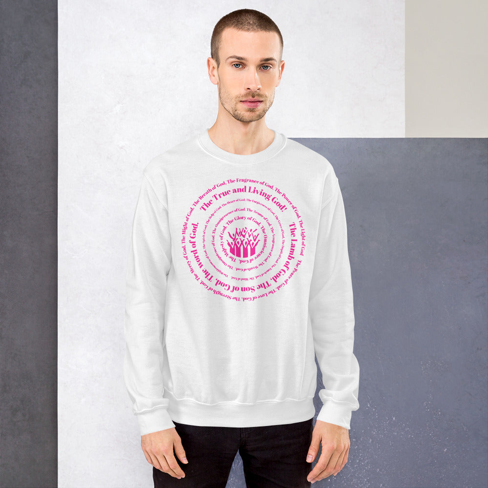 Attributes of God Unisex Sweatshirt - Hot Pink Spiral