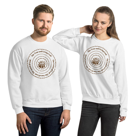 Attributes of God Unisex Sweatshirt - Brown Spiral