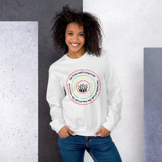 Attributes of God Unisex Sweatshirt - Multi-Color spiral