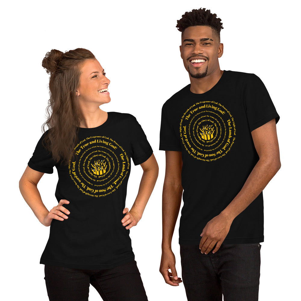 Attributes of God Unisex t-shirt (lrgr sizes) - Black/yellow print